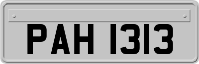 PAH1313
