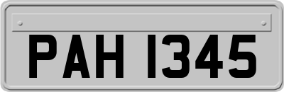 PAH1345