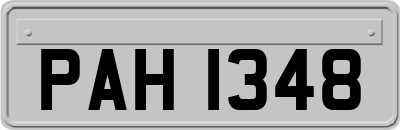 PAH1348