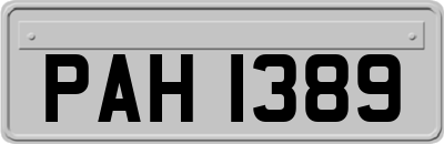 PAH1389