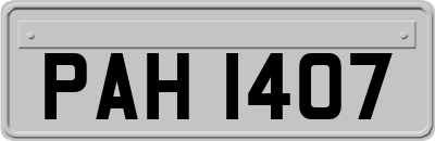 PAH1407