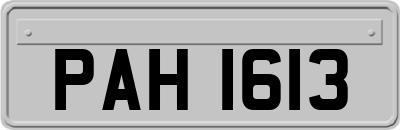PAH1613