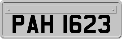 PAH1623