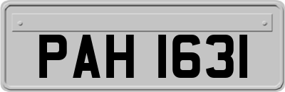PAH1631