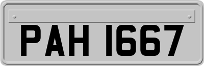 PAH1667