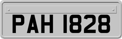 PAH1828