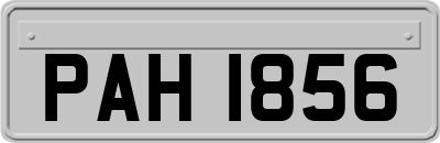 PAH1856
