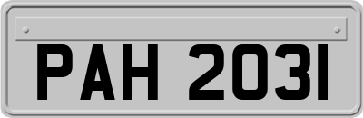 PAH2031