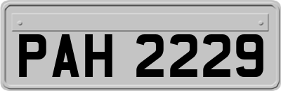 PAH2229