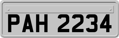 PAH2234