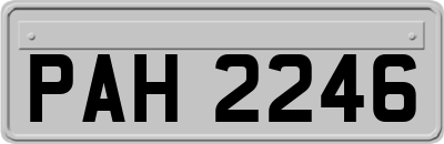 PAH2246