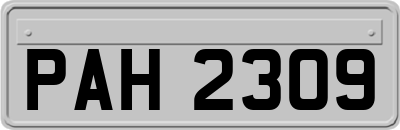 PAH2309