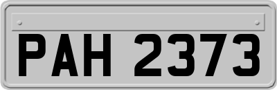 PAH2373