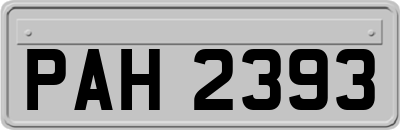 PAH2393