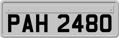 PAH2480