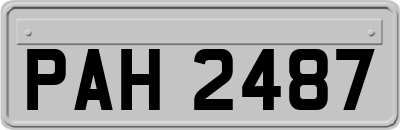 PAH2487
