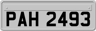 PAH2493