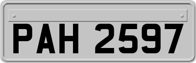 PAH2597