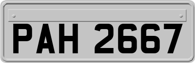 PAH2667