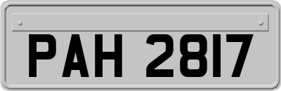 PAH2817