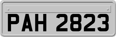 PAH2823