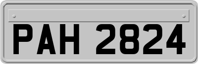 PAH2824