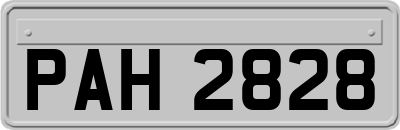 PAH2828