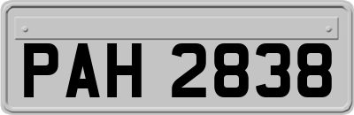 PAH2838