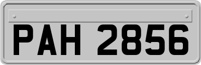 PAH2856