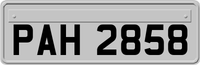 PAH2858