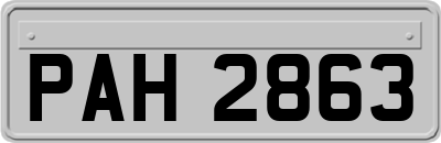 PAH2863