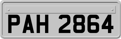 PAH2864