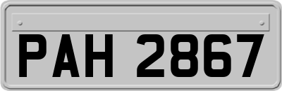 PAH2867
