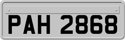 PAH2868
