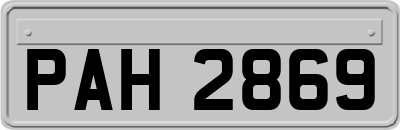 PAH2869