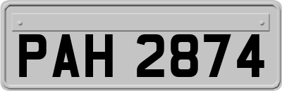 PAH2874