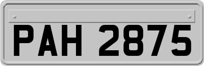 PAH2875