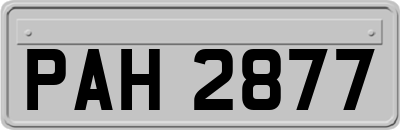 PAH2877