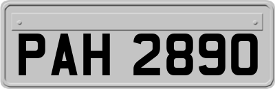 PAH2890