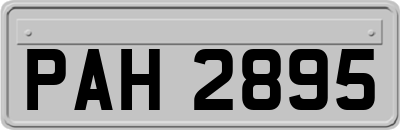 PAH2895