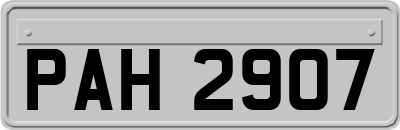 PAH2907