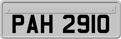 PAH2910