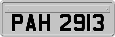 PAH2913