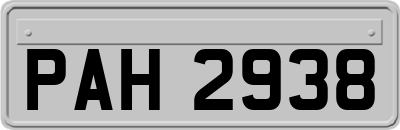 PAH2938