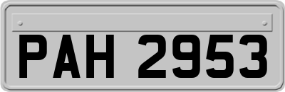 PAH2953