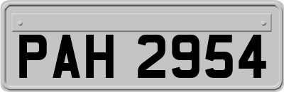 PAH2954