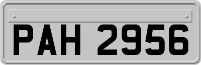 PAH2956