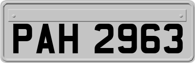 PAH2963