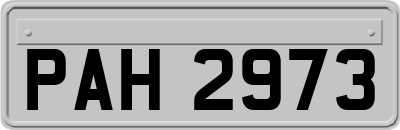 PAH2973