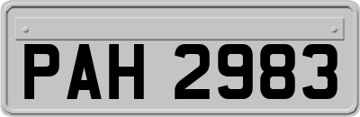 PAH2983